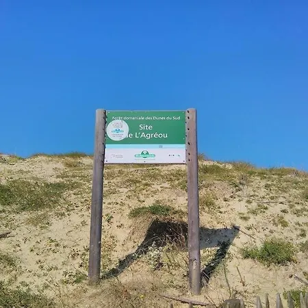 Sous Les Pins, à Pied! Océan Villa Seignosse