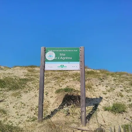 Sous Les Pins, à Pied! Océan