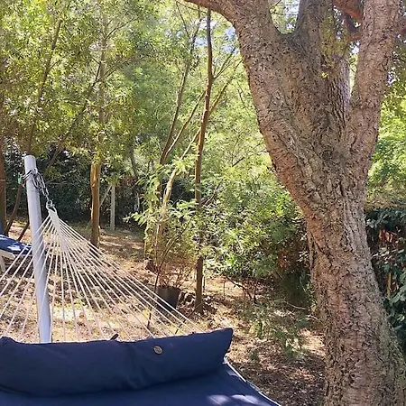 Villa Sous Les Pins, à Pied! Océan Seignosse