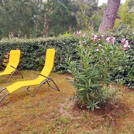 Villa Sous Les Pins, à Pied! Océan *
