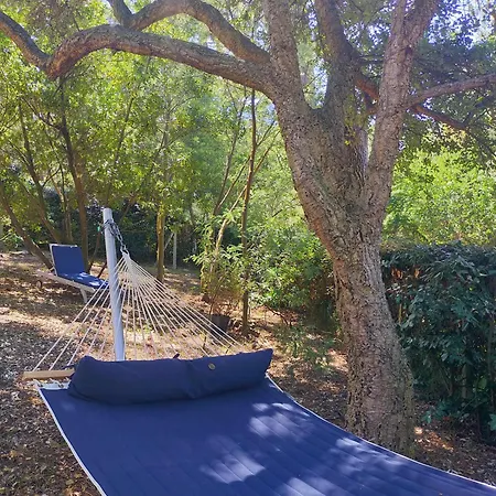 Villa Sous Les Pins, à Pied! Océan *